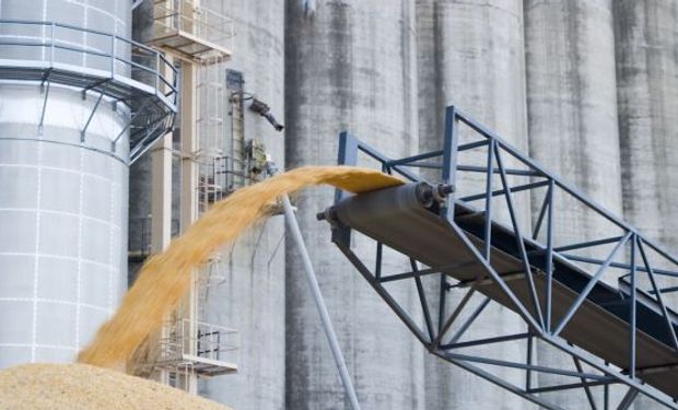 Agroindustria aconsejó a los productores hacer análisis de calidad antes de entregar el trigo y pidió a los molinos "especificar" las condiciones de calidad para una operación.