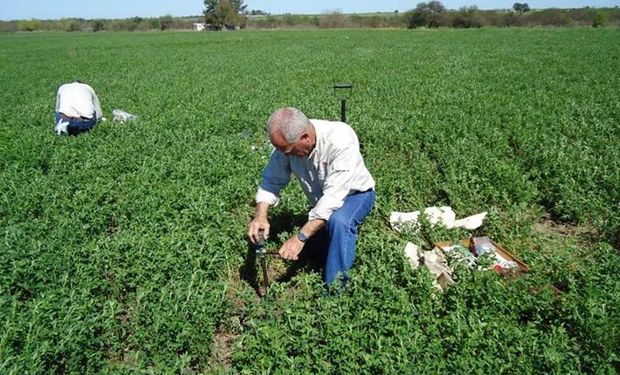 Cómo pueden obtener el certificado para circular los profesionales del agro y las condiciones que deben cumplir