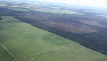 Clásico: soja y Brasil presionan con sus vaivenes la economía