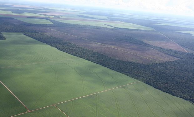 Clásico: soja y Brasil presionan con sus vaivenes la economía