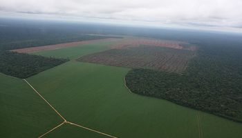 El verdadero impacto de la agricultura argentina en el calentamiento global