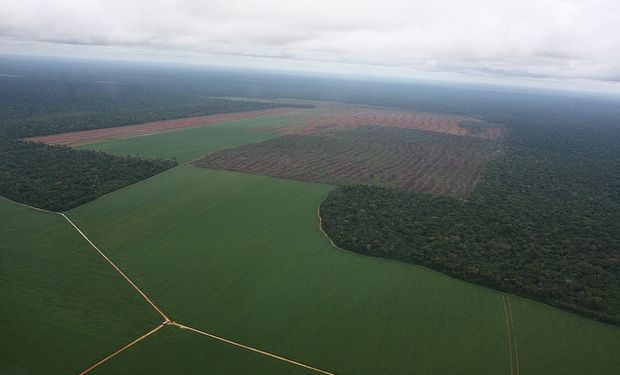 El verdadero impacto de la agricultura argentina en el calentamiento global