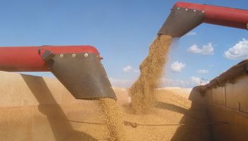 Decisão do Cade sobre Moratória da Soja divide produtores e indústrias