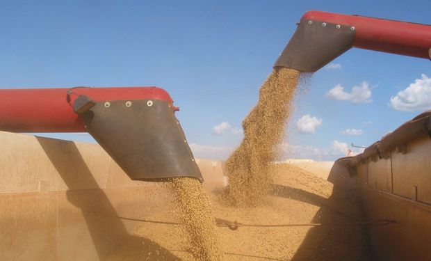 Decisão do Cade sobre Moratória da Soja divide produtores e indústrias