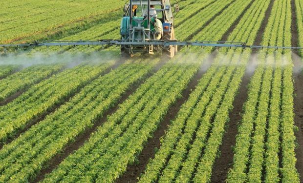 Se abordará mañana en la reunión plenaria de las comisiones de Ambiente, de Agricultura y de Justicia del Senado
