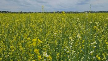 MS zera ICMS de seis produtos agrícolas para diversificar lavouras