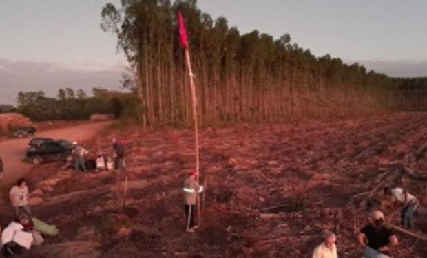 MST invadiu três fazendas na Bahia pertencentes a Suzano e governo intermedia solução. (foto - MST)