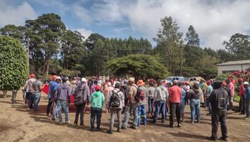 MST invade escritório da Ferbasa na Bahia e pede suspensão de reintegrações