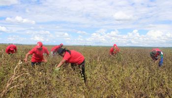 Fávaro diz que agricultura de pequenos e grandes é indissociável