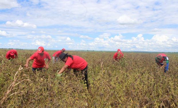 Ministro conheceu a lavoura da soja convencional de 200 hectares nas comunidades Fidel Castro e Maria Lara no Paraná. (foto - Maicon Veirick/MST)