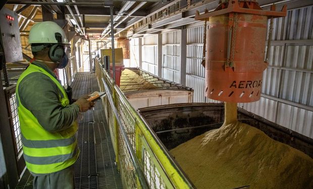 Medida em MT organiza a aplicação do incentivo, define limites para o uso dos créditos e cria ambiente mais seguro para novos investimentos industriais no setor bioenergético