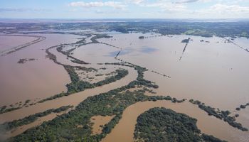 CMN autoriza renegociação de crédito rural para produtores do Rio Grande do Sul