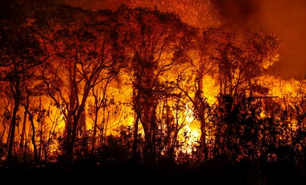 FMI e Banco Mundial prometem mais recurso para conter mudança climática