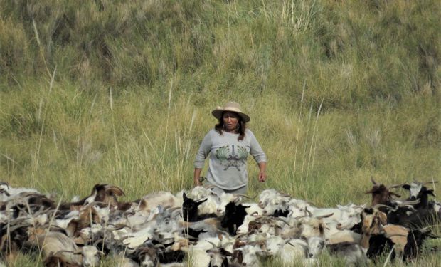 Cría chivitos, logró que sean reconocidos y mantiene viva una tradición que alimenta a más de 1500 familias