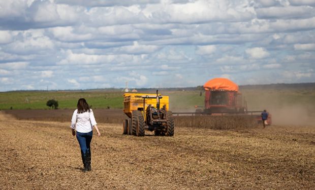 Agro y cambio climático: por qué el campo es un actor clave para combatir esta problemática