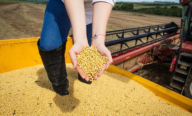 Cooperativismo: el programa que impulsa a mujeres rurales a emprender