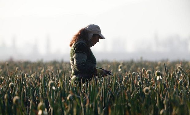 Un estudio demuestra que las mujeres asalariadas del agro ganan menos que los hombres