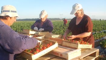 Mujeres, líderes rurales se reúnen en la Exposición Rural 2017