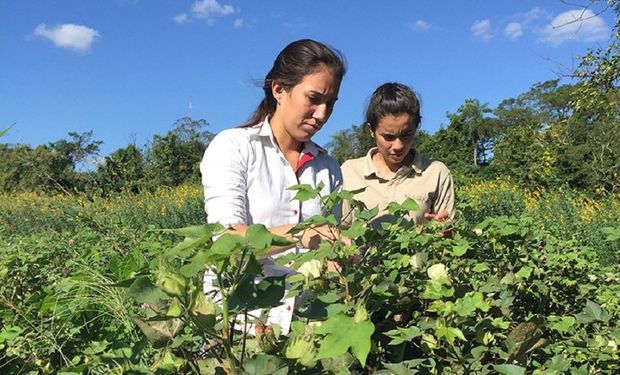 Mulheres rurais também ganham uma linha específica neste Plano Safra da Agricultura Familiar