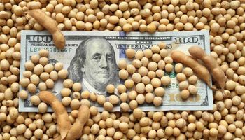 El precio de la soja en el mercado local llegó a los $9.700 tras la suba del dólar