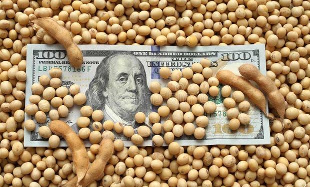 CBOT: en el día de hoy se dio a conocer la noticia de que China compró 500.000 toneladas de soja estadounidense, dando soporte a los precios.
