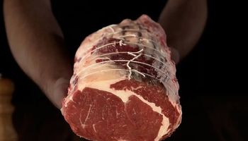 Medalla de oro para la carne argentina en el mundo: cómo producen los establecimientos ganadores