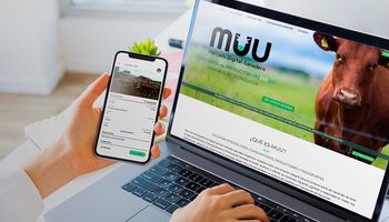 MUU, la primera app que reúne a todas las consignatarias de hacienda en un solo lugar