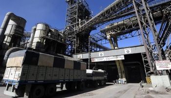 El ingreso de camiones a los puertos del Gran Rosario creció un 8 % durante el primer semestre
