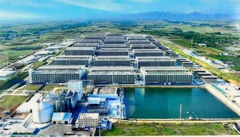 Faenan casi 80 millones de cerdos al año y son uno de los mayores productores del mundo: buscan US$ 1.400 millones para sumar tecnología