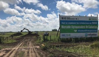 Mercado de Cañuelas: analizan el bienestar animal que se debe tener en cuenta en el diseño