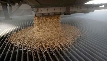 La sorpresa que le dio otro récord al agro: la industria aceitera procesó más de 47,6 millones de toneladas