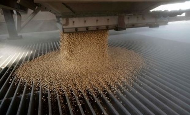 La sorpresa que le dio otro récord al agro: la industria aceitera procesó más de 47,6 millones de toneladas