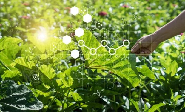 Brasil terá primeira fábrica de nanoinsumos, mas o que é isso?
