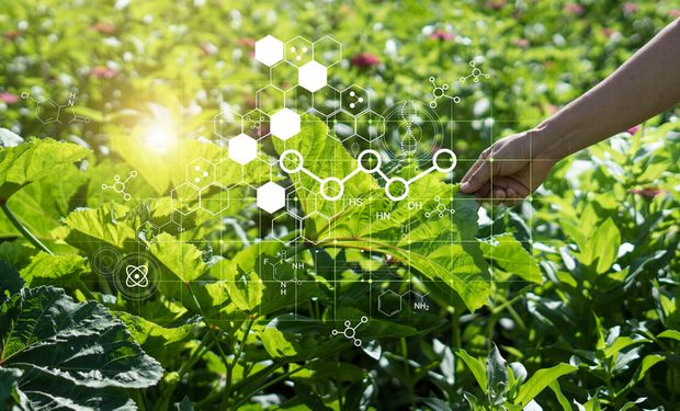 Estudo destaca nanotecnologia para a agricultura sustentável