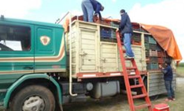 Senasa decomisó 4,3 toneladas de frutas en “El Naranjo”, Salta