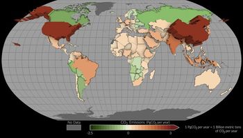 Golazo para las vacas albicelestes: el mapa de la NASA que desmitifica las críticas al sector ganadero argentino