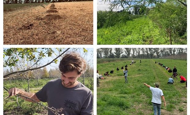 Carne, madera y bonos: la estrategia de un joven productor santafesino para ser sustentable y salir ganando