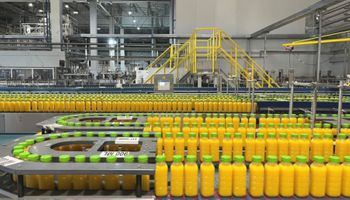 Natural One assume 6 mil hectares de laranja e mira crescer 30%