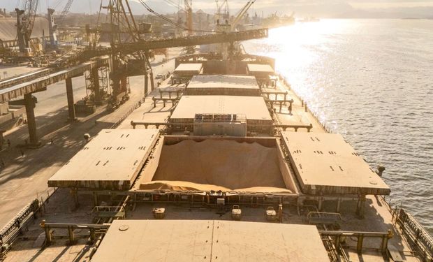 Milho foi a commodity que mais cresceu em produtividade nos portos paranaenses entre janeiro e novembro (Foto: Claudio Neves/Portos do Paraná)