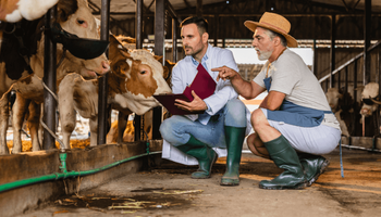 Indústria de saúde animal cresce 7,9% e atinge R$ 12,8 bilhões