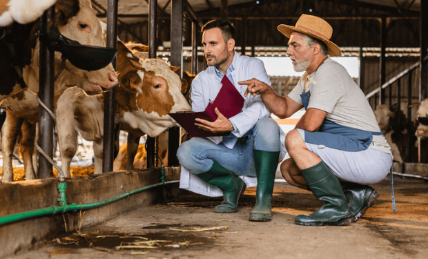 Indústria de saúde animal cresce 7,9% e atinge R$ 12,8 bilhões