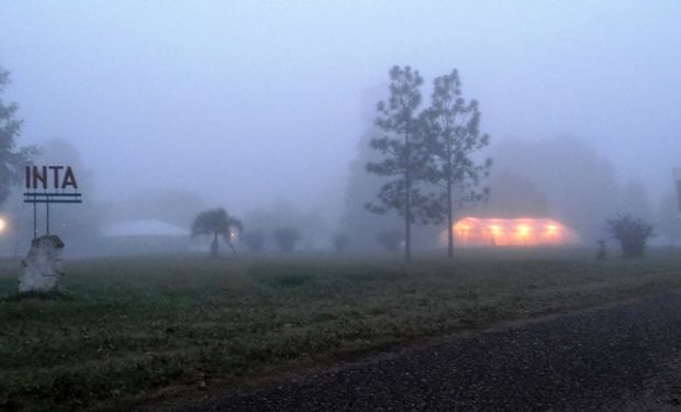 Lluvias débiles, nieblas y neblinas: día por día, qué dice el pronóstico del tiempo para los próximos días