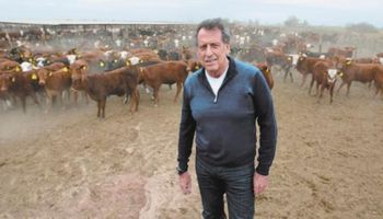 Brito buscará u$s 200 millones en Wall Street para darle impulso a su negocio ganadero