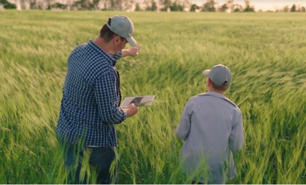 Seguros para el agro: la plataforma digital que permite al productor tener una propuesta en tiempo real