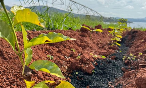NetZero inaugura planta de biochar de R$ 25 milhões em Minas Gerais
