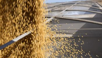 El dato de exportaciones semanales le da un respiro al precio de la soja en Chicago
