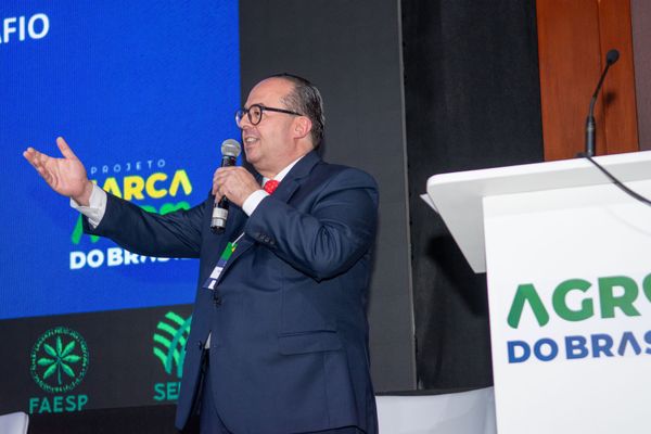 ricardo nicodemos