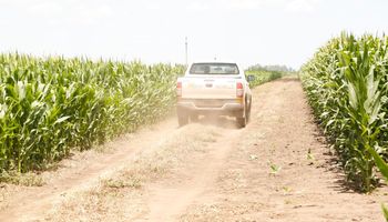 Están "obsesionados con la agronomía” y tienen un híbrido de maíz que lidera con 11.350 kg/ha de rendimiento promedio en siembras tempranas: reunieron a sus 74 distribuidores exclusivos
