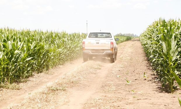 Están "obsesionados con la agronomía” y tienen un híbrido de maíz que lidera con 11.350 kg/ha de rendimiento promedio en siembras tempranas: reunieron a sus 74 distribuidores exclusivos