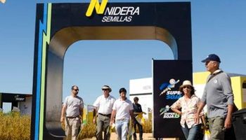 Unidad de semillas de Nidera estaría a punto de cambiar de manos